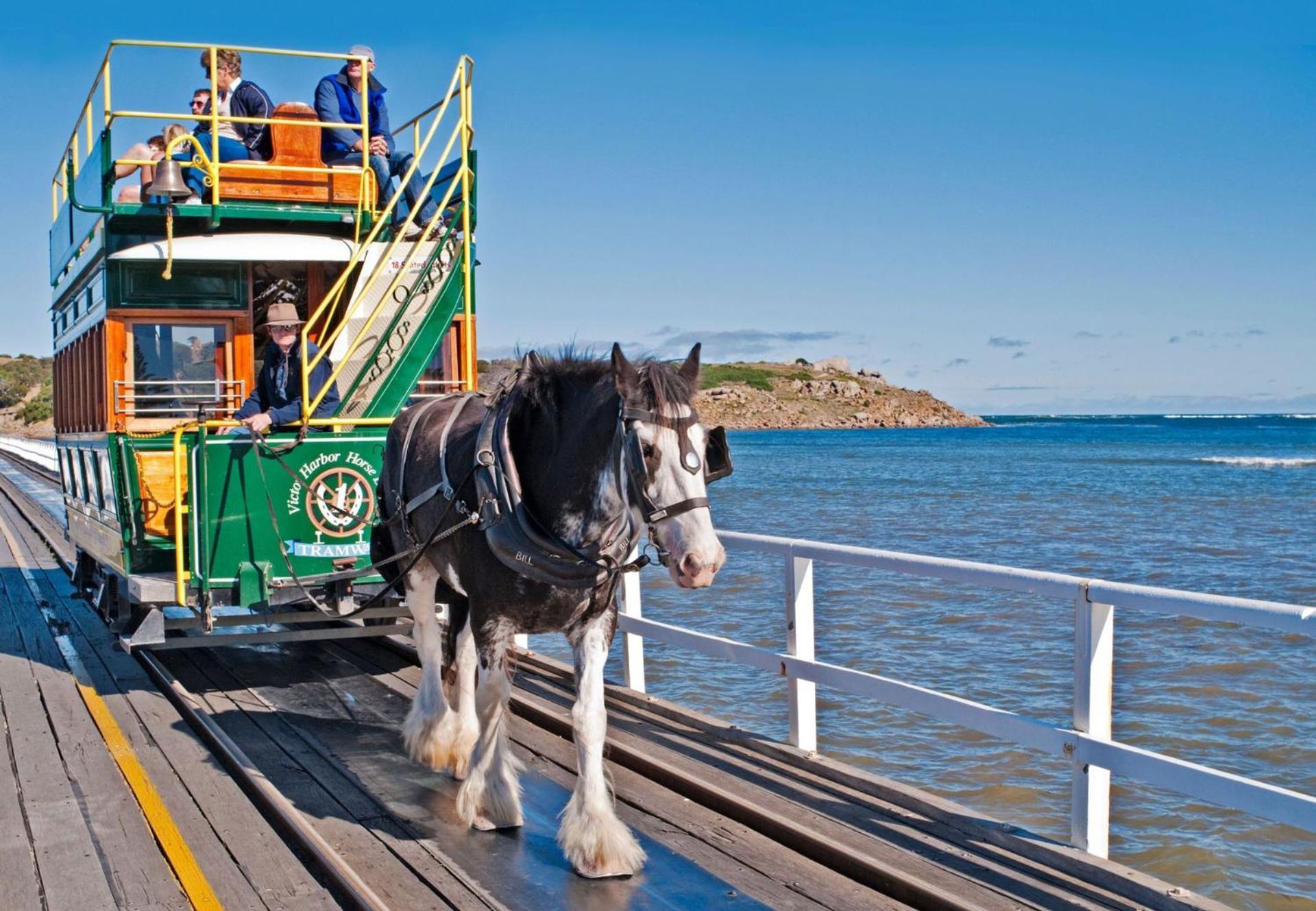 Victor Harbor Holiday Park Exterior photo
